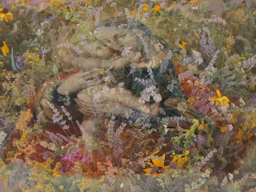 Bild von Mutter Gottes und Kräuter